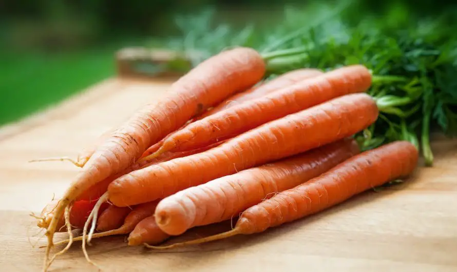 How to Freeze Carrots Without Blanching