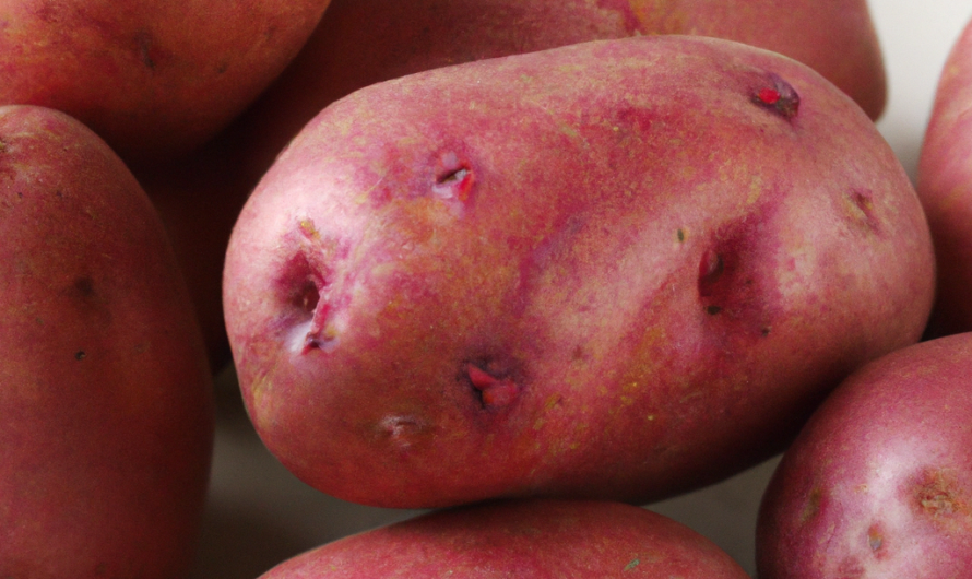Are Red Potatoes Dyed? Everything you Need to know about Red Potatoes in (2023)